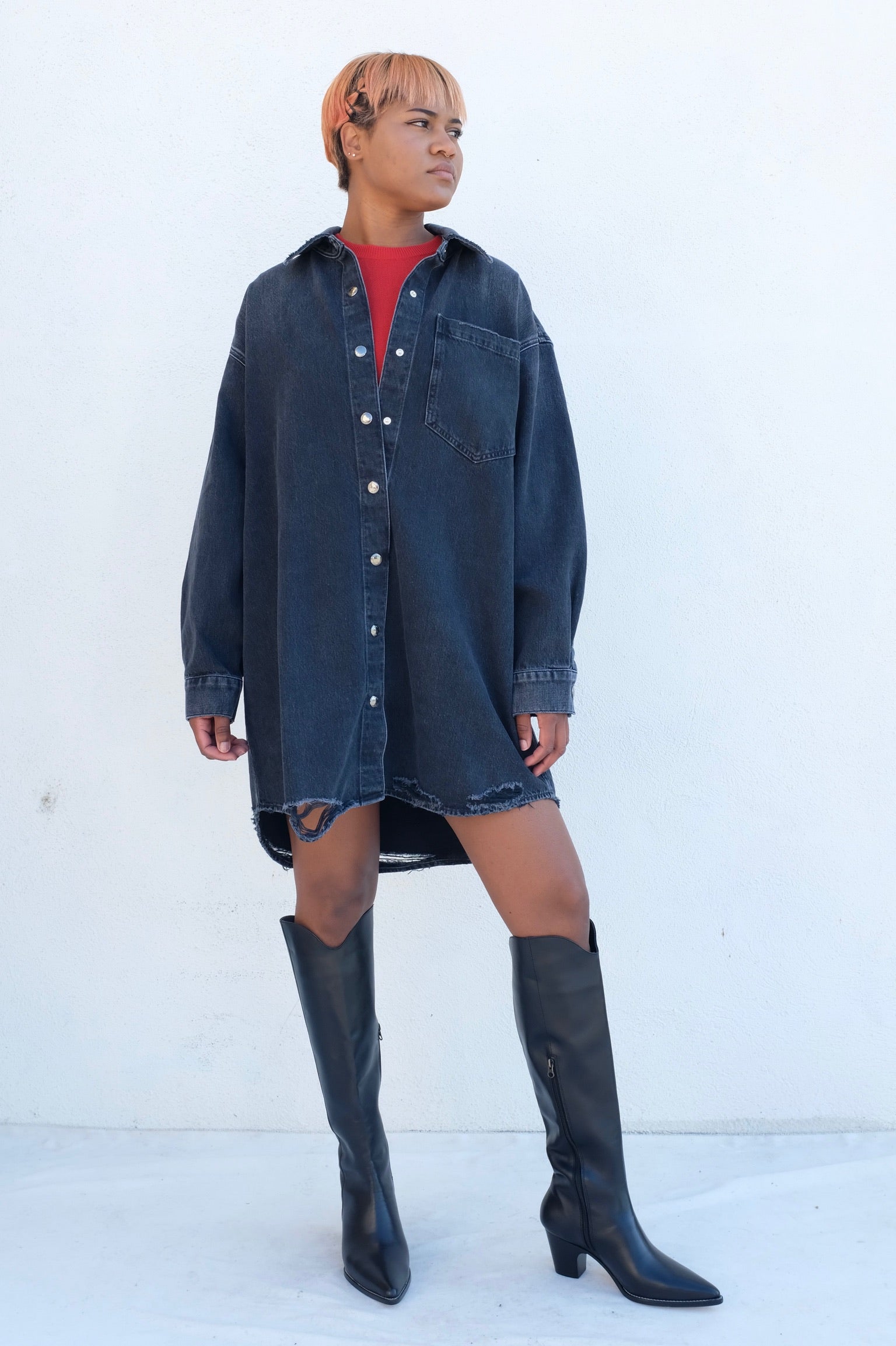 Agolde MAZIE Shirt Dress / Disappear