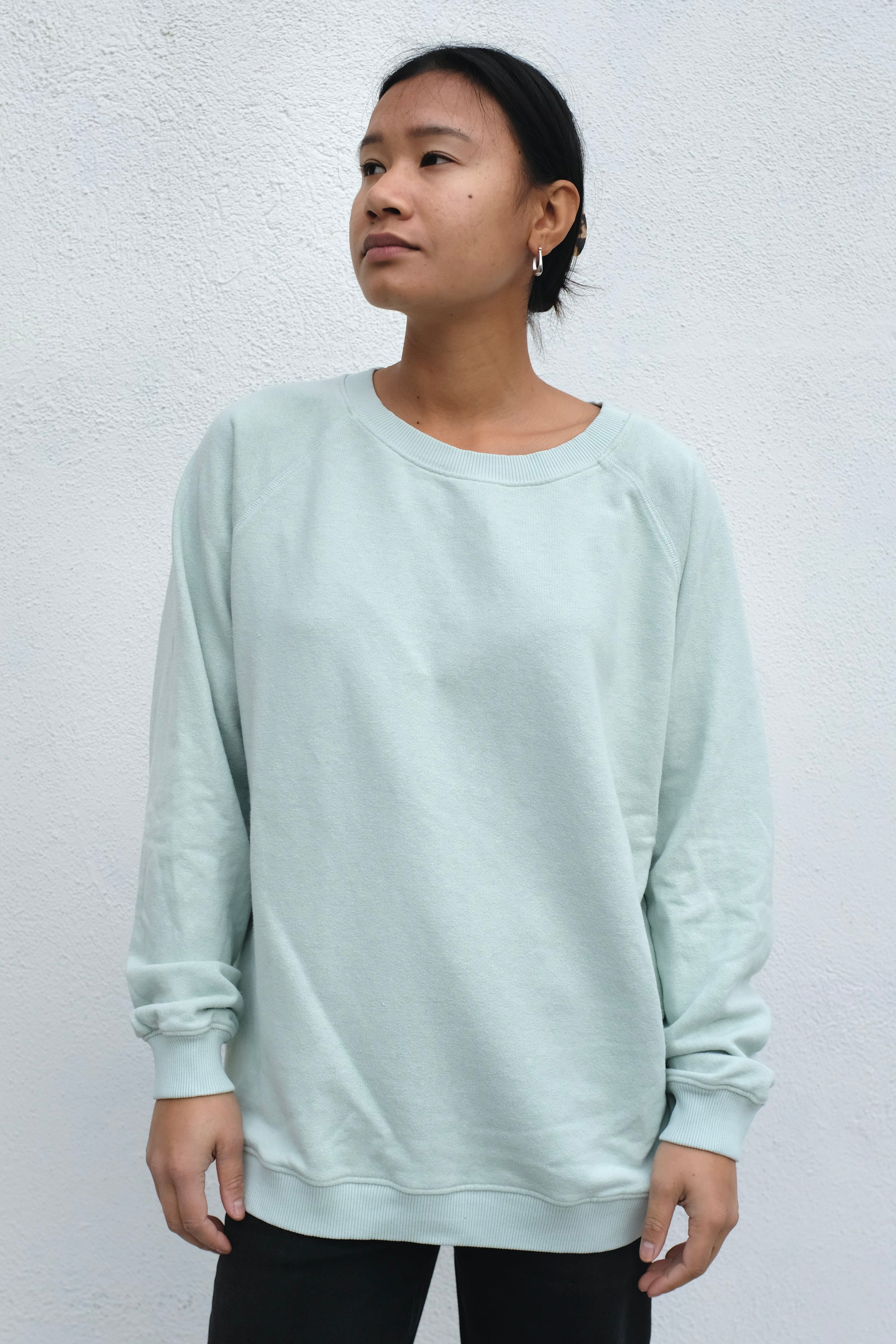 Bonfire Long Sleeve Raglan / Seafoam Green