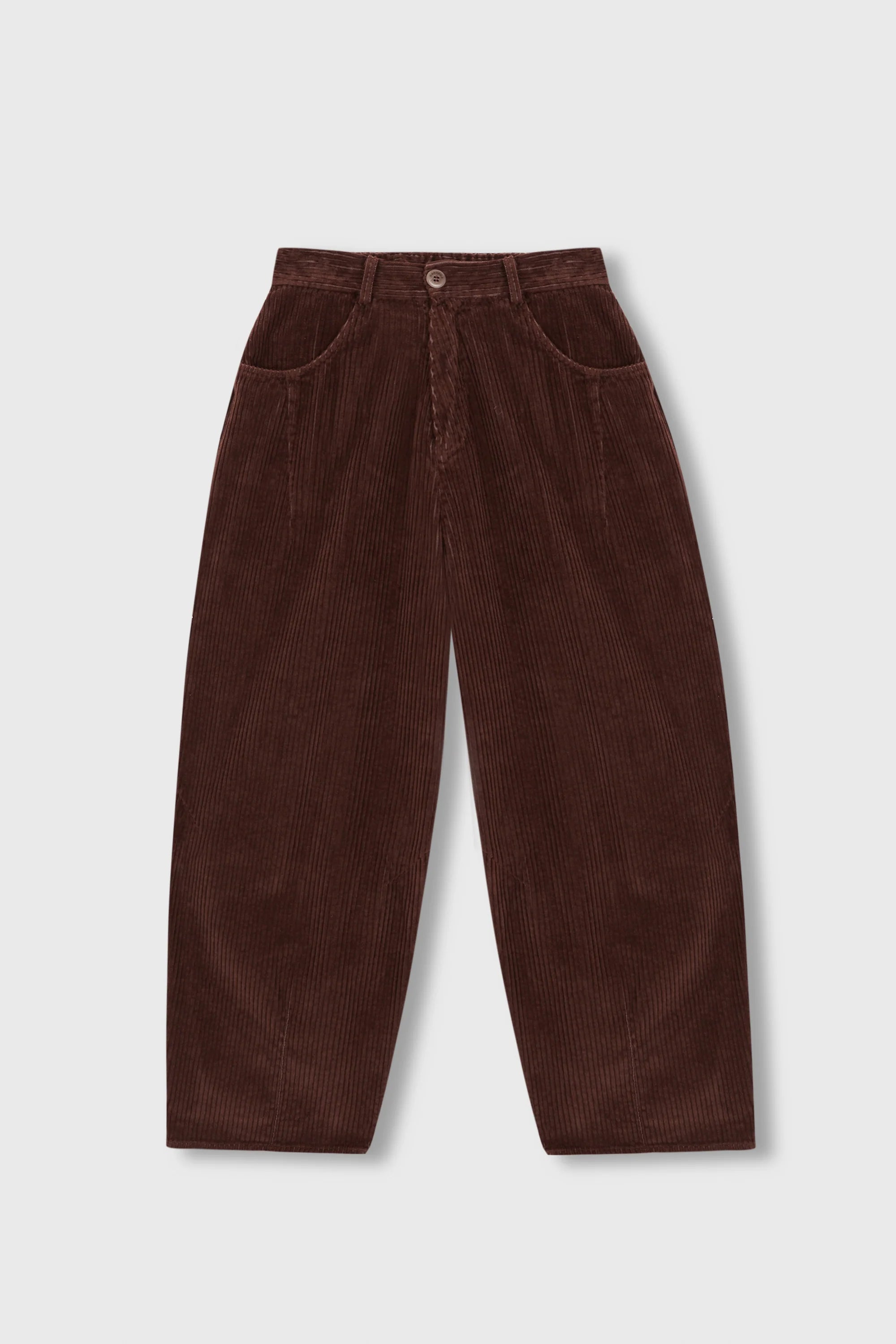 Cordera Corduroy Baggy Pants / Pardo