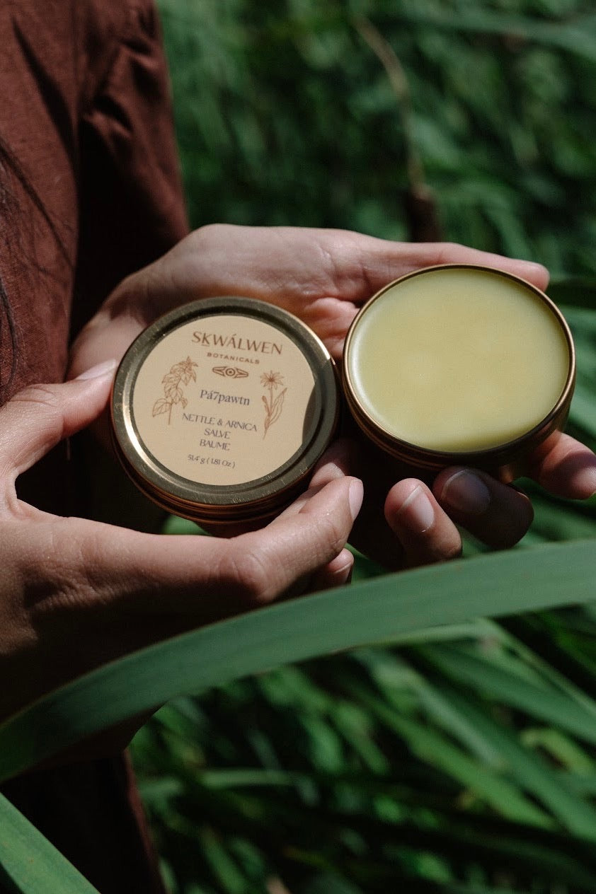 Pa7pawtn Nettle & Arnica Salve