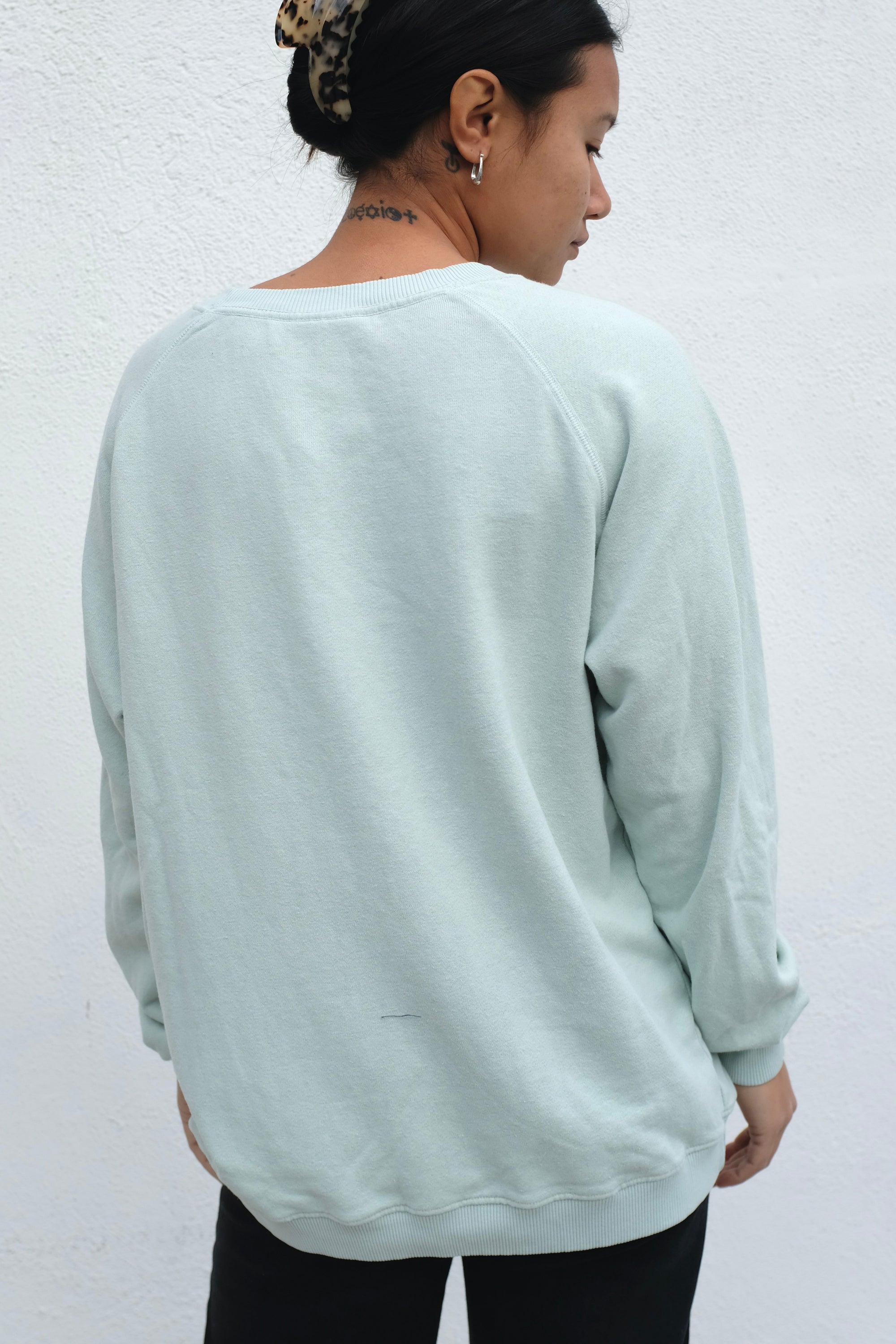 Bonfire Long Sleeve Raglan / Seafoam Green