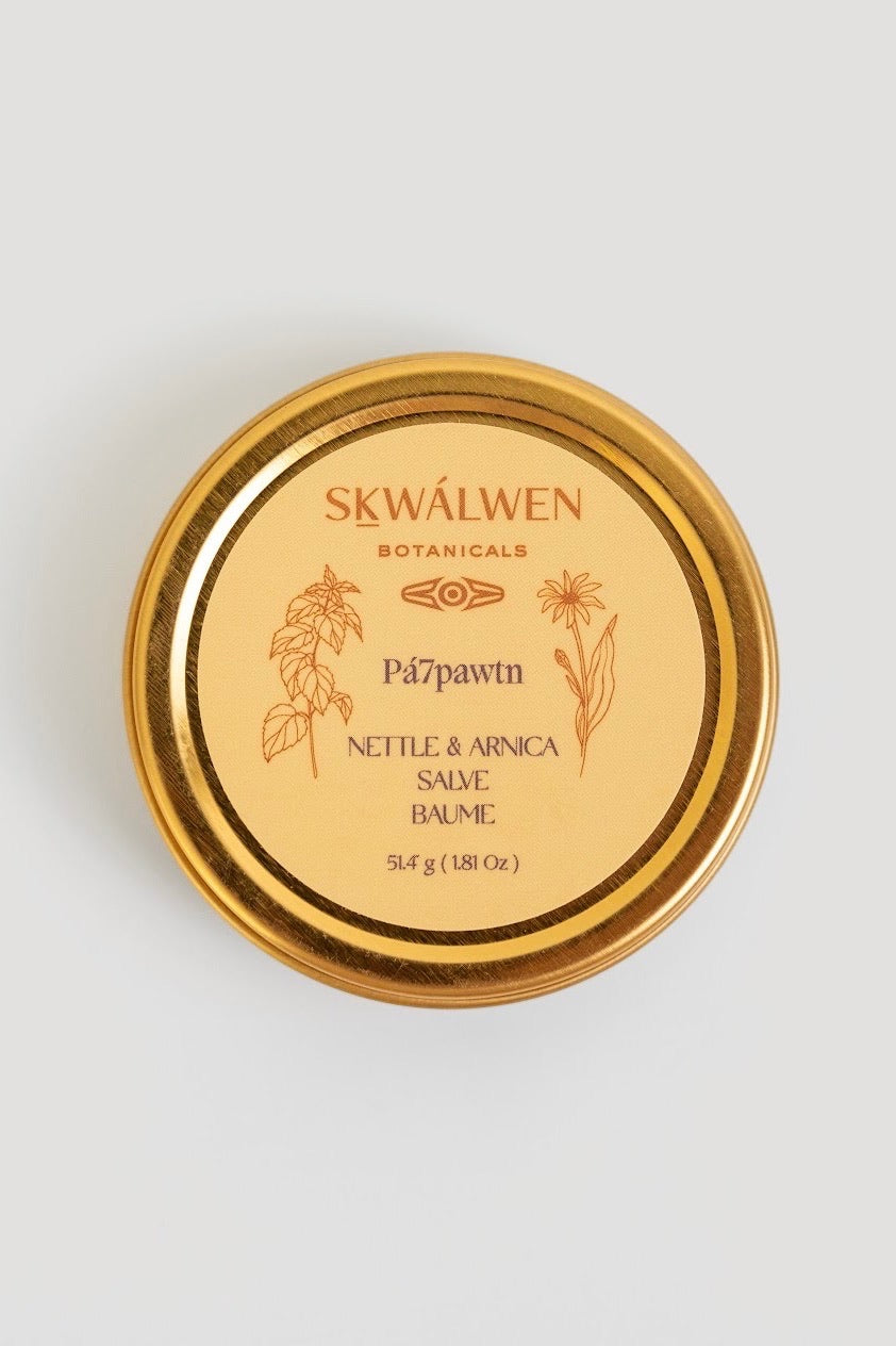 Pa7pawtn Nettle & Arnica Salve