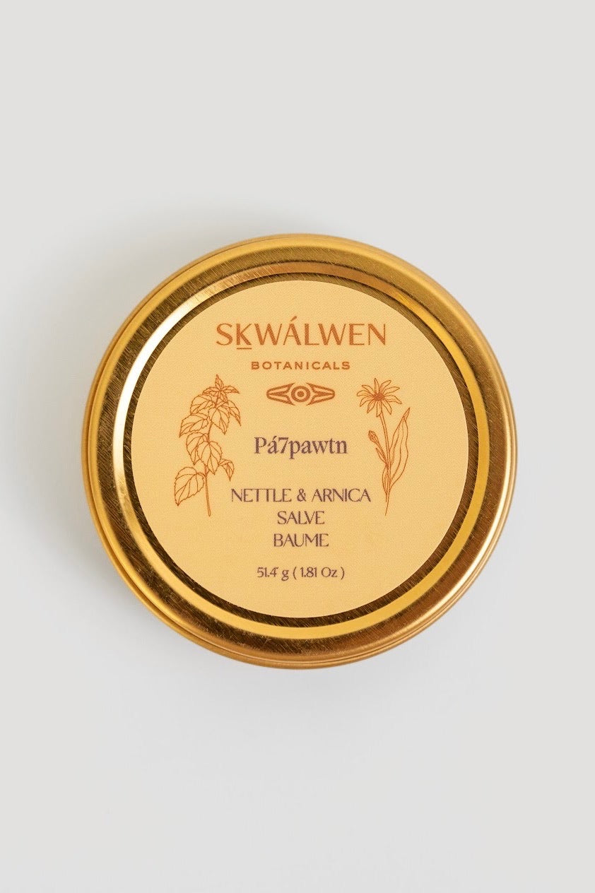 Pa7pawtn Nettle &amp; Arnica Salve