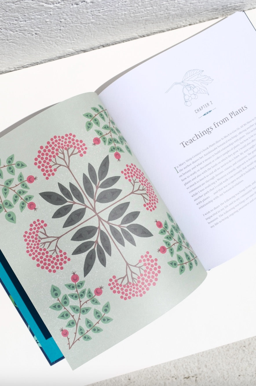 Held by the Land: A Guide to Indigenous Plants for Wellness
