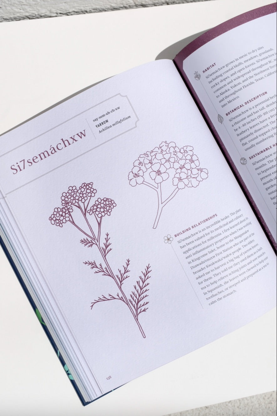 Held by the Land: A Guide to Indigenous Plants for Wellness