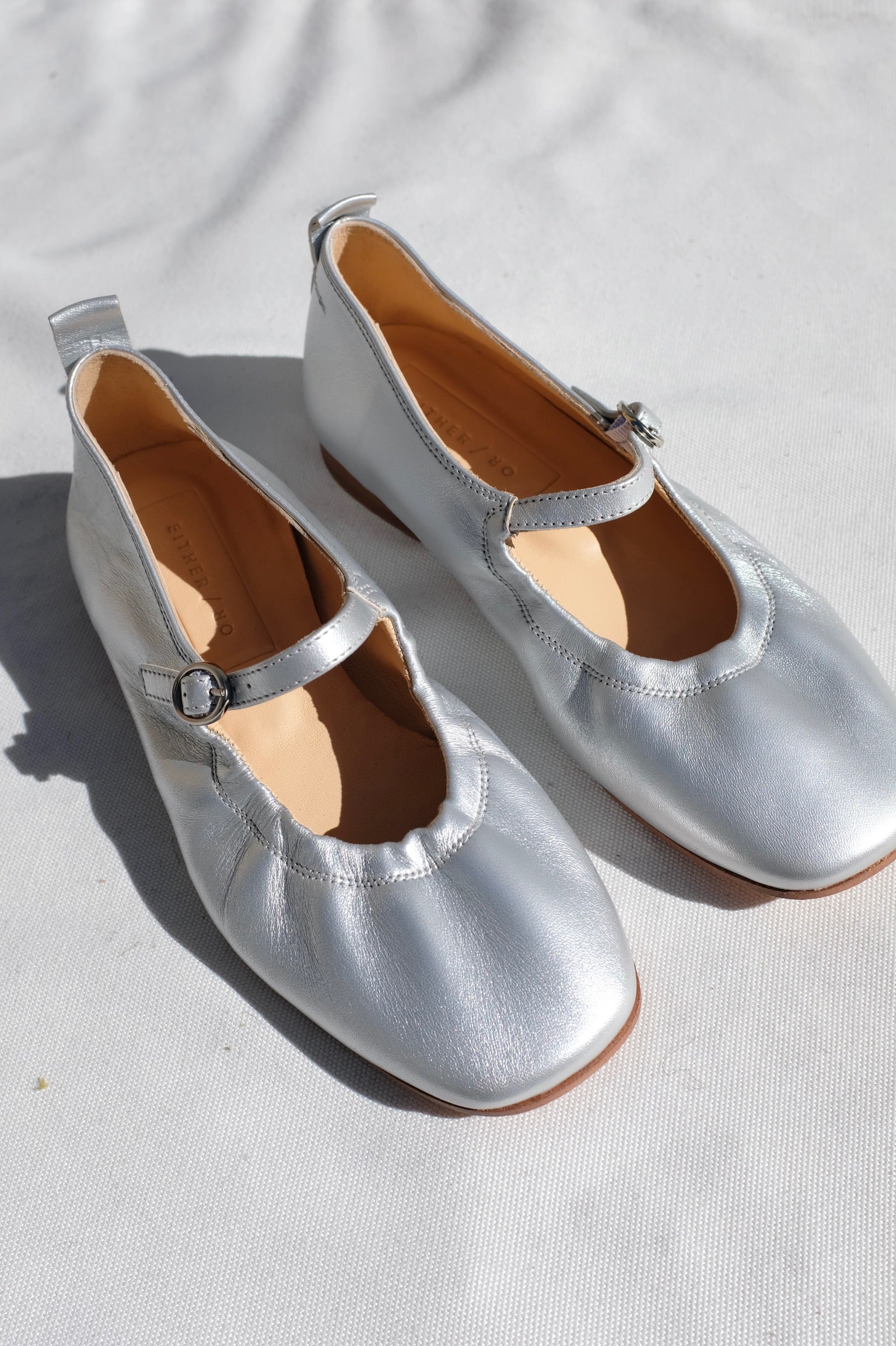 Either/Or Mary Jane Flat / Silver