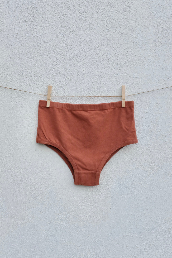 Hemp Blend Underwear, High-waisted Briefs, Brown Undies, Organic