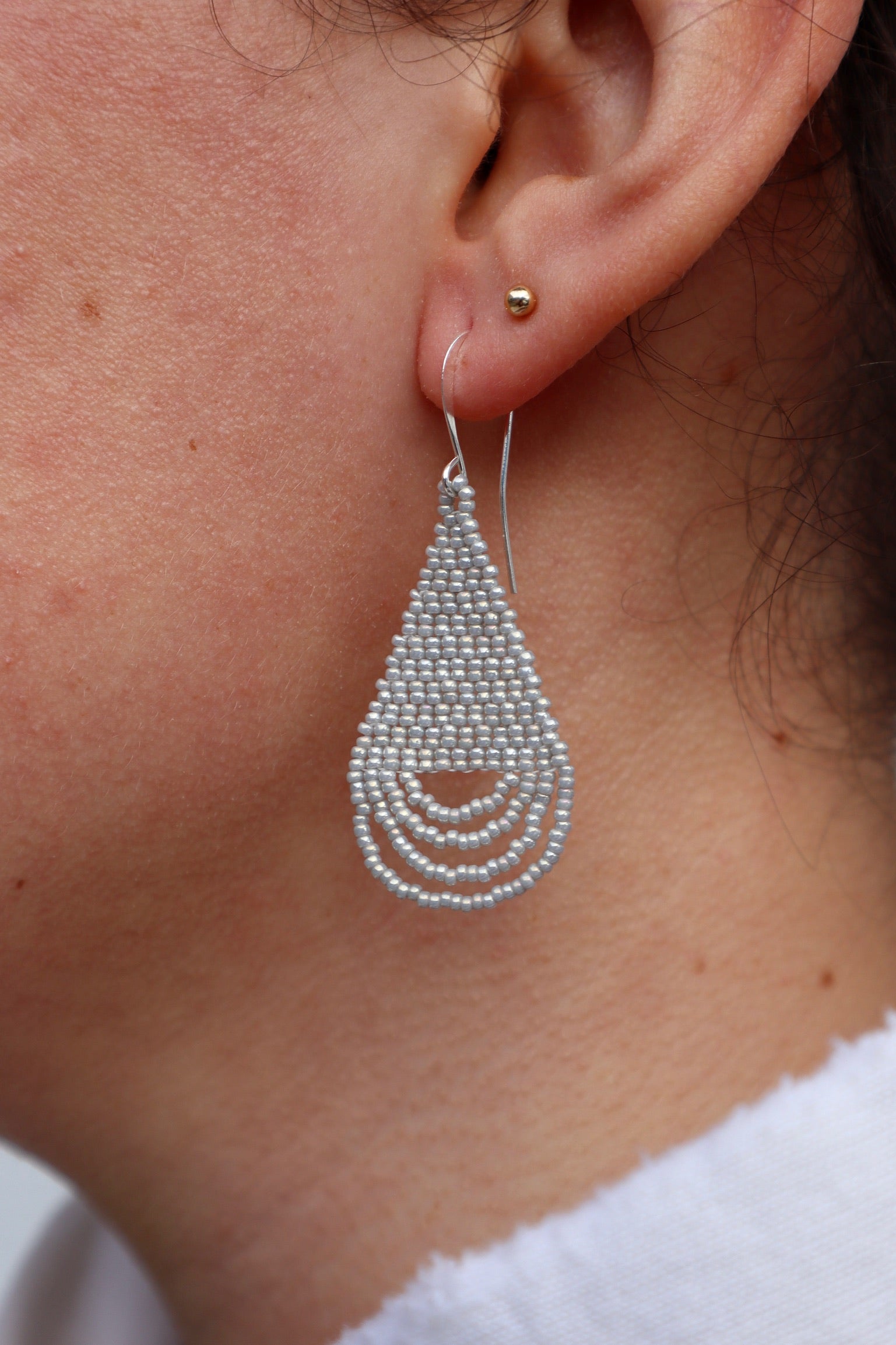 Clifford Earrings / Silver