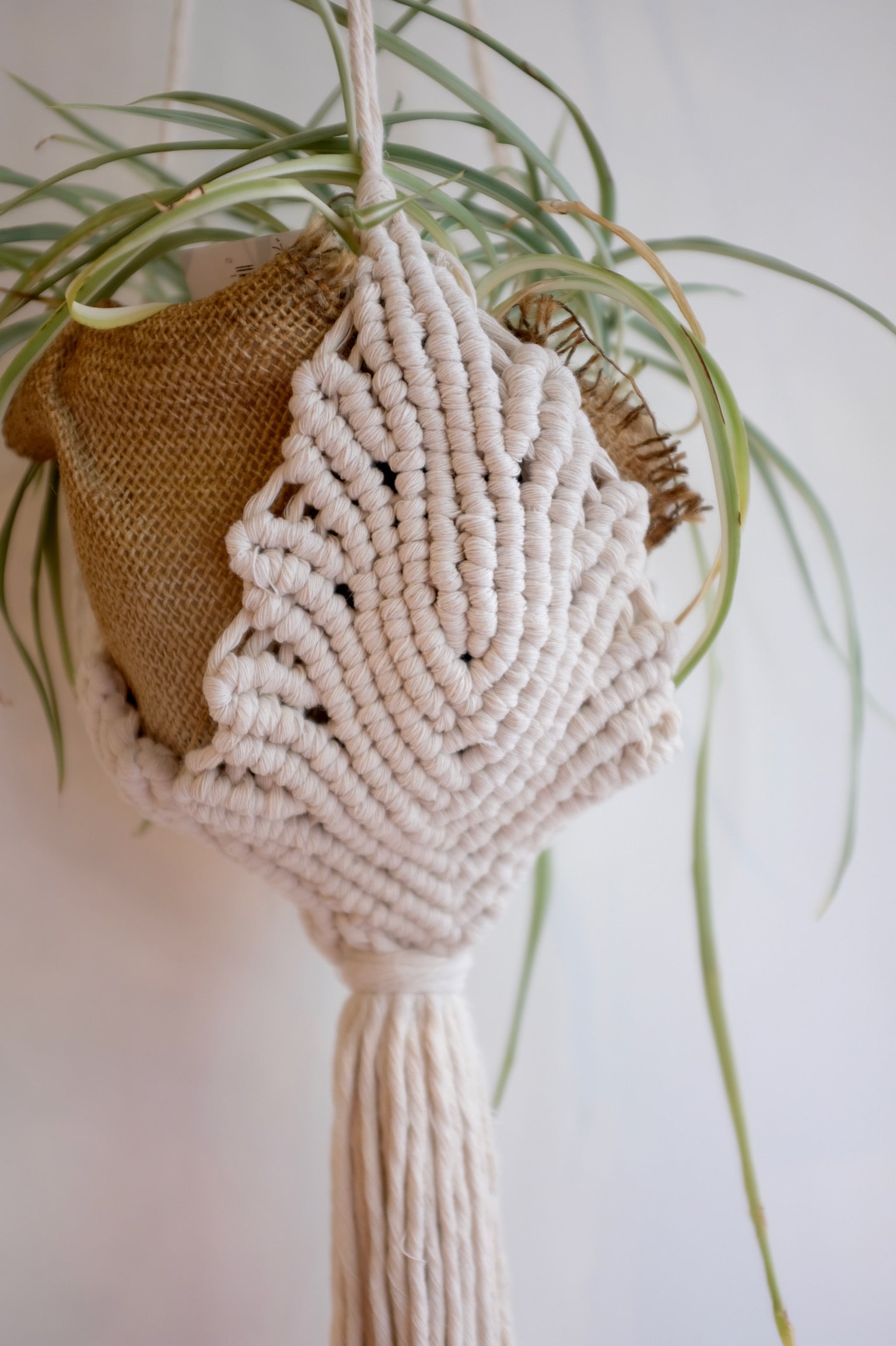 Macrame by Jae Plant Hanger / Cream Leafy