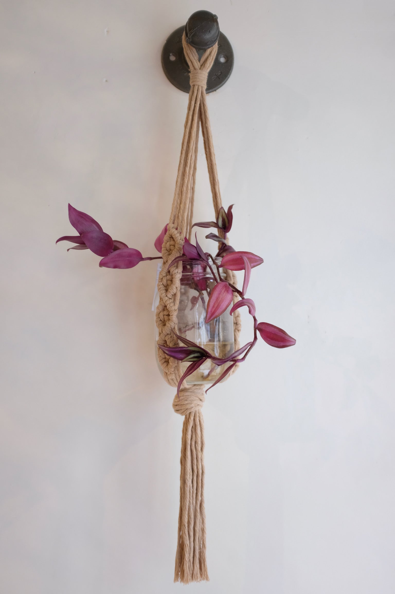 Macrame by Jae Plant Hanger / Brown