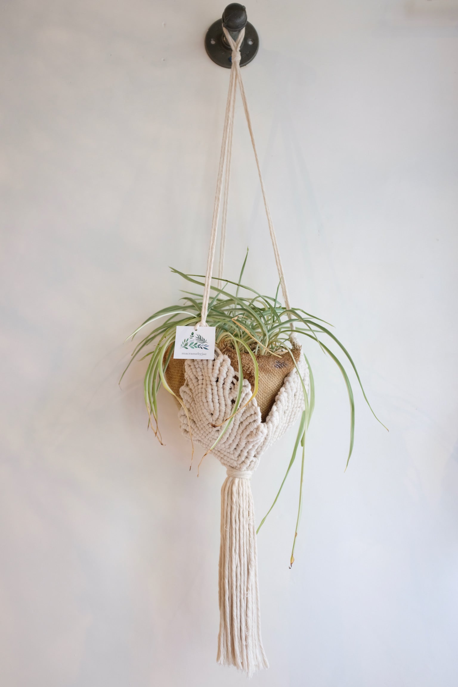 Macrame by Jae Plant Hanger / Cream Leafy