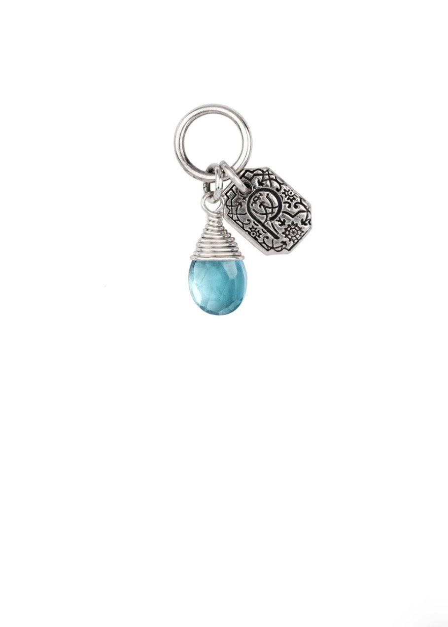 Pyrrha Family Signature Attraction Charm / Silver