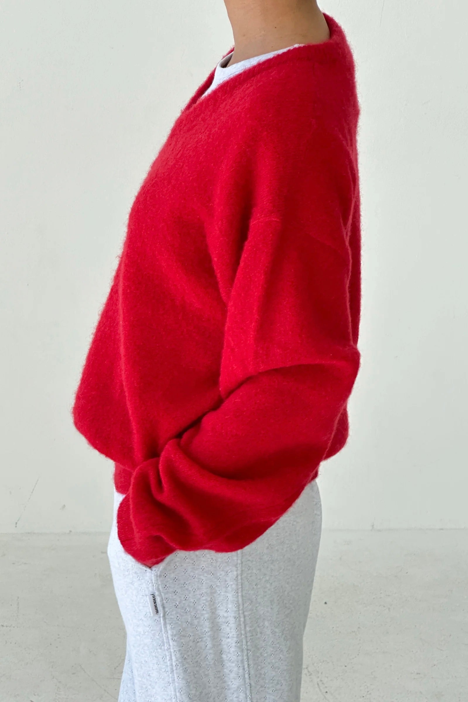 Le Bon Shoppe James Mohair Sweater / Red