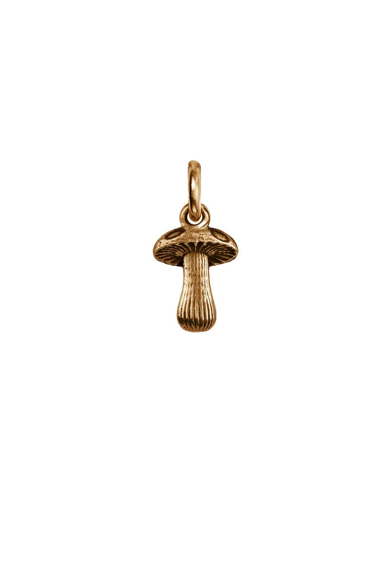 Pyrrha Mushroom Symbol Charm / Bronze