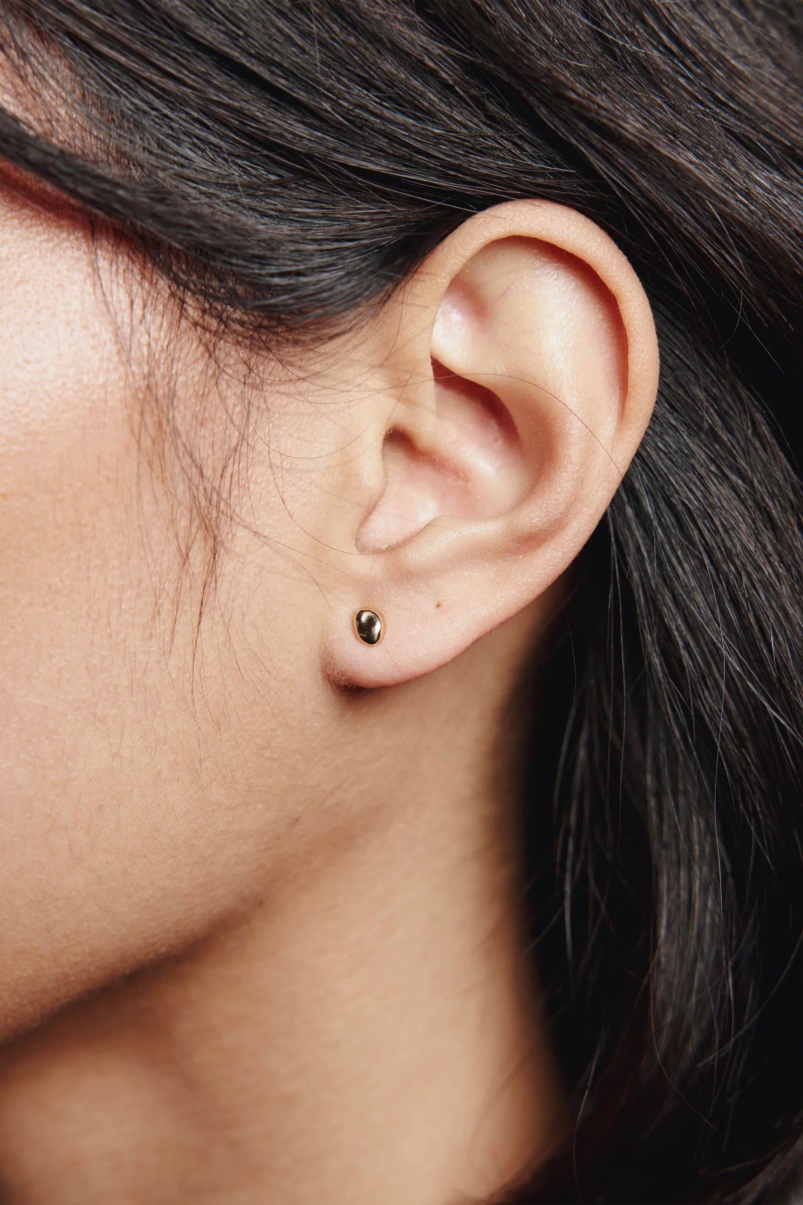 Wolf Circus Small Bean Stud / Gold