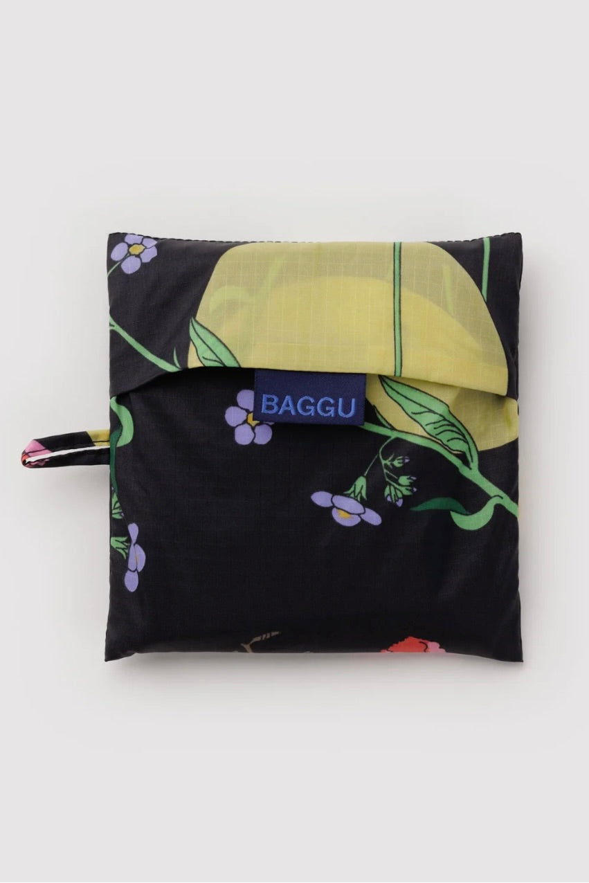 Baggu Big Baggu / Winter Gourd