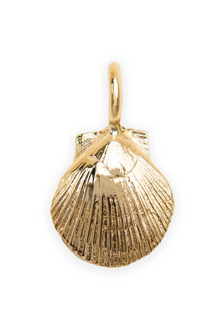 Rokosz Jewelry Scallop / 10k Solid Yellow Gold