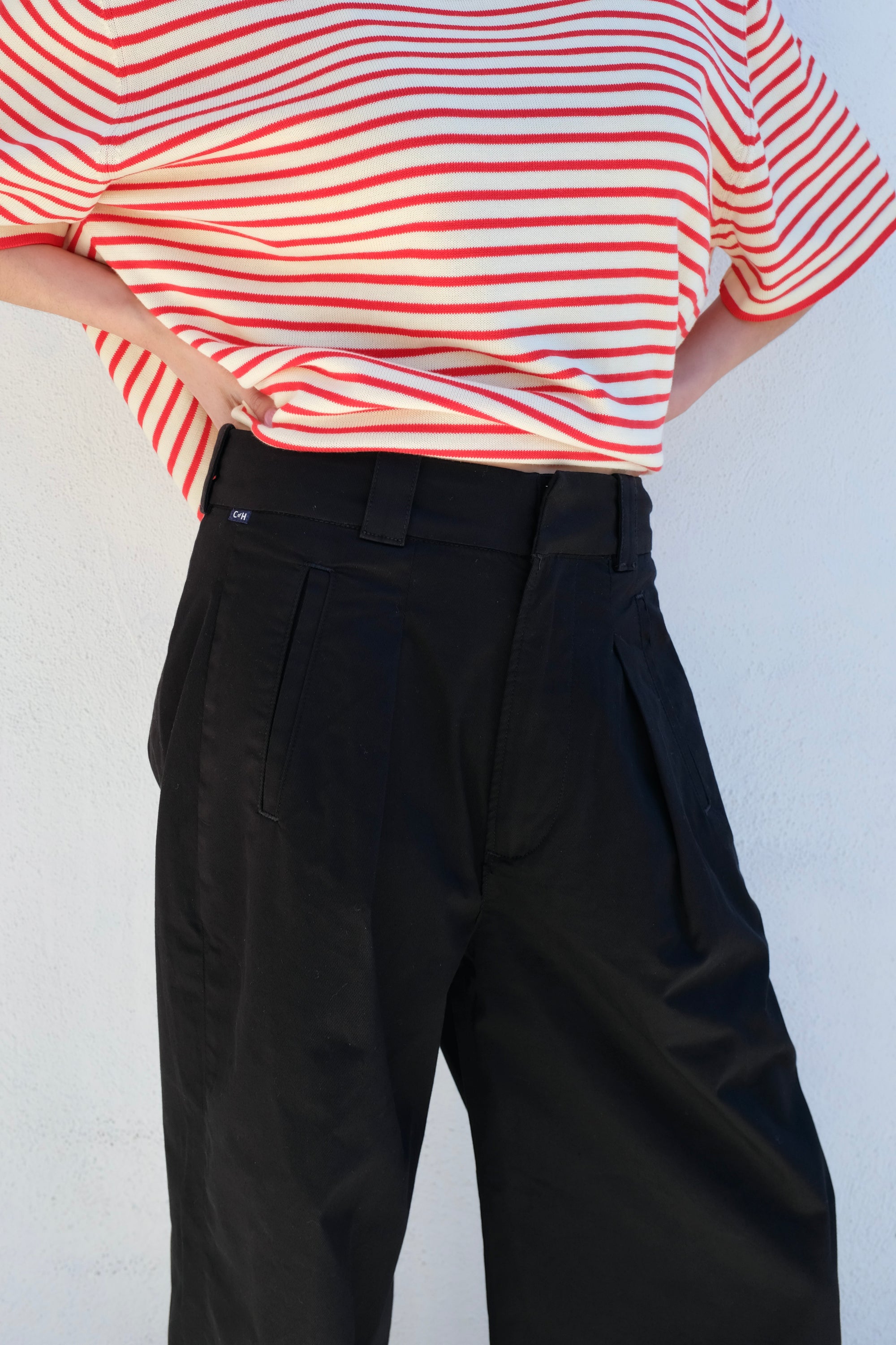 Citizens of Humanity Cara Crop Pleated Trouser / Black