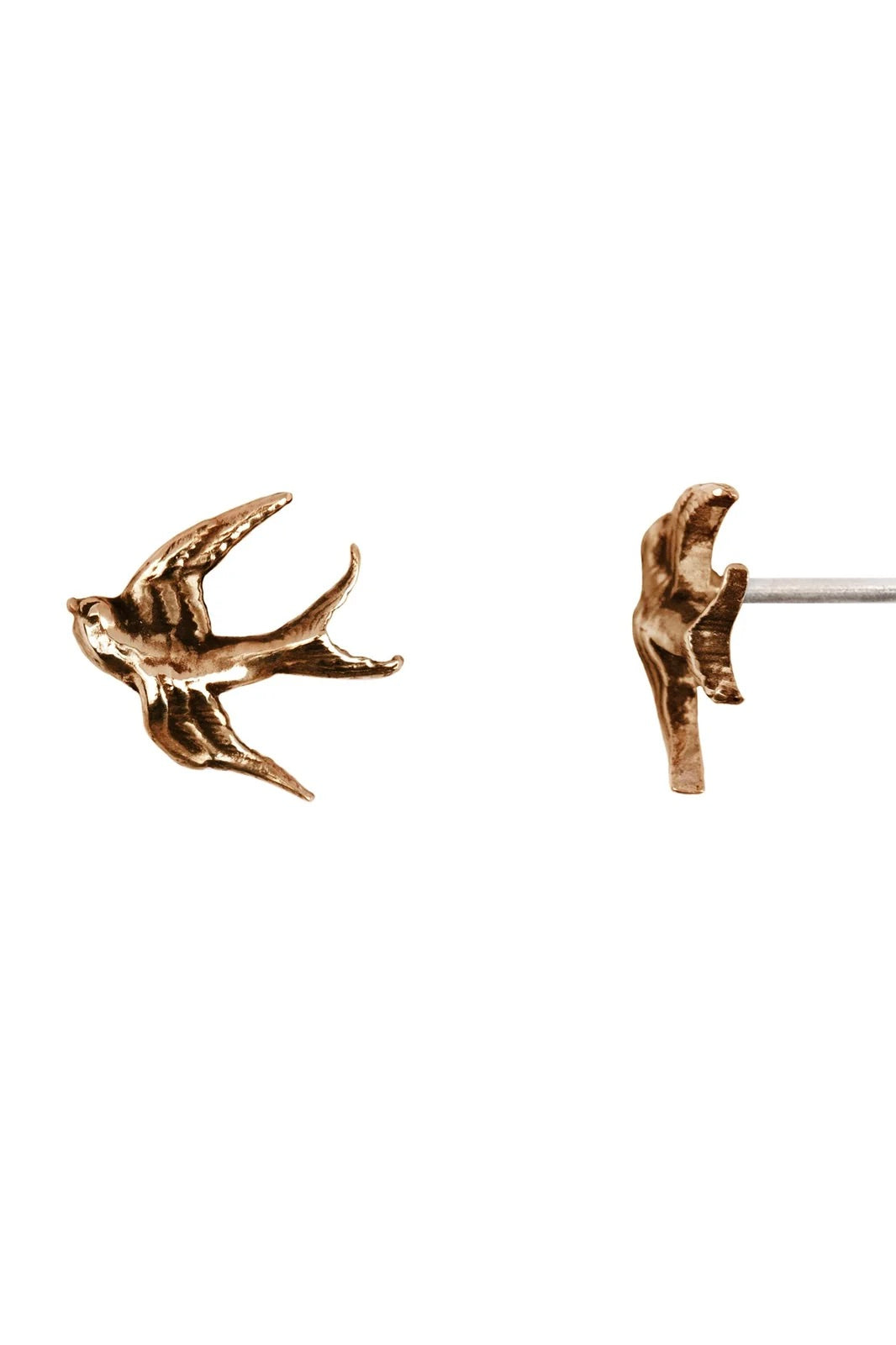 Pyrrha Swallow Stud Earrings / Bronze
