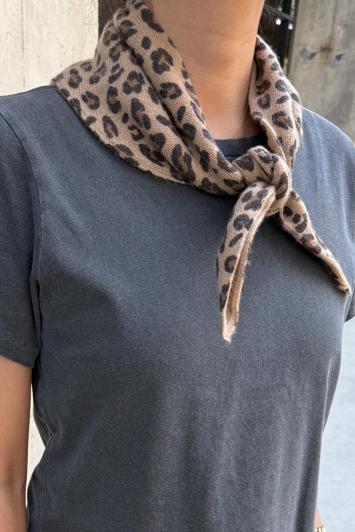 Le Bon Shoppe Cashmere Bandana / Leopard
