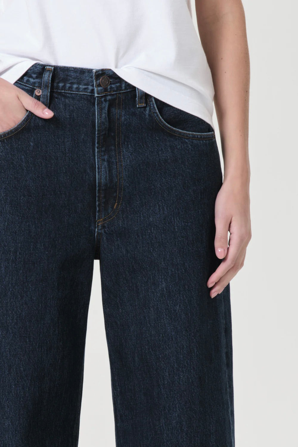 Agolde Low Curve Jean / Pendulum