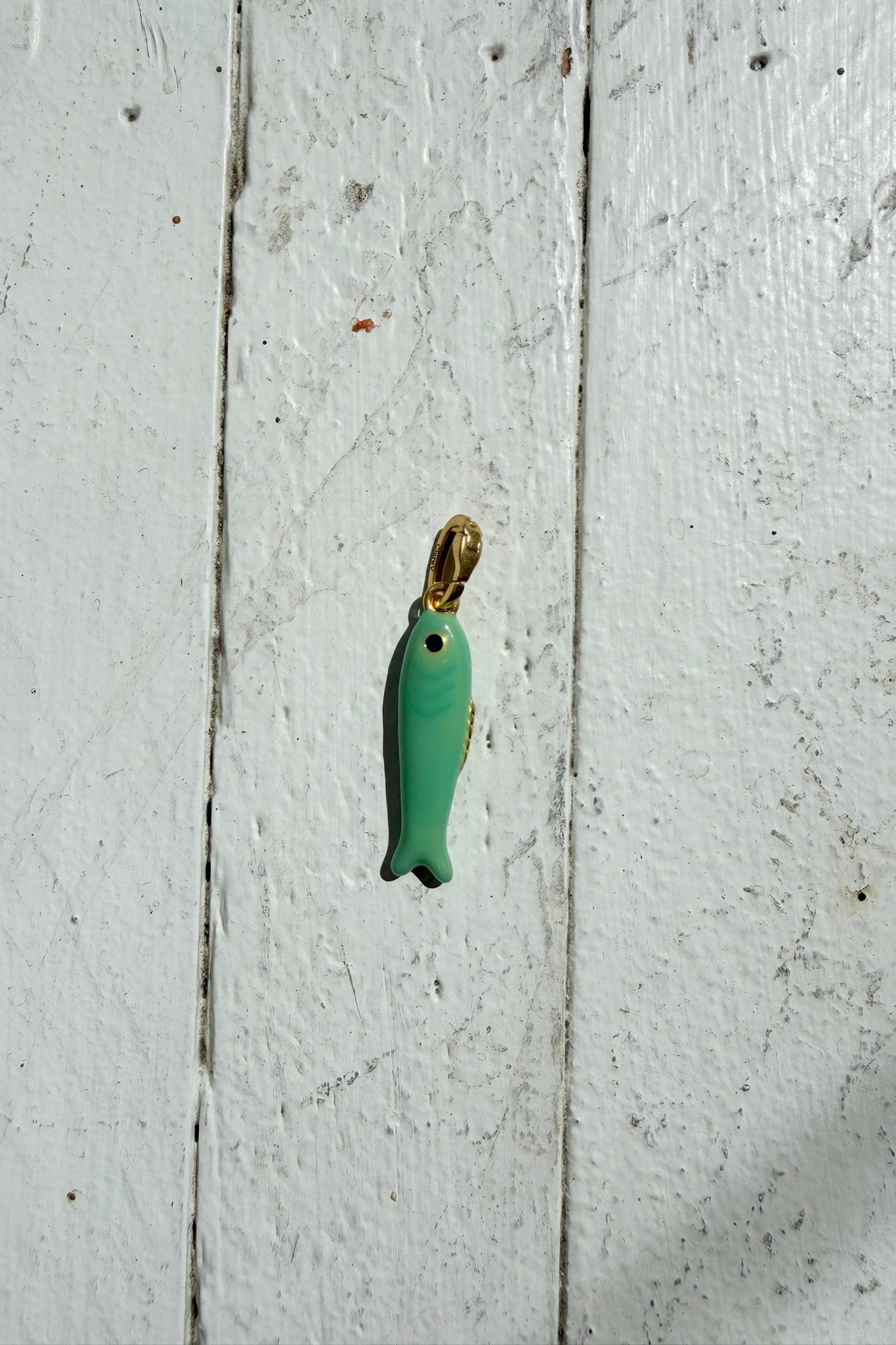 Charm / L'Ete Sardine