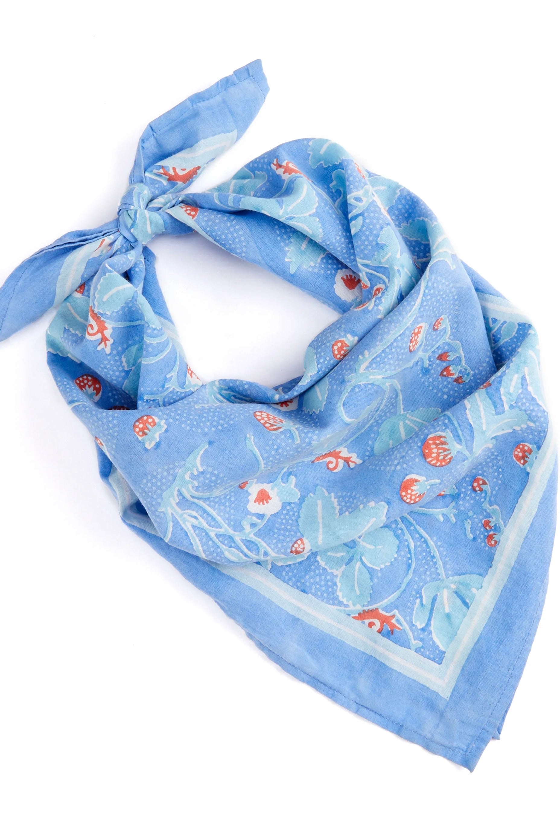 Wild Strawberries Bandana / Cornflower