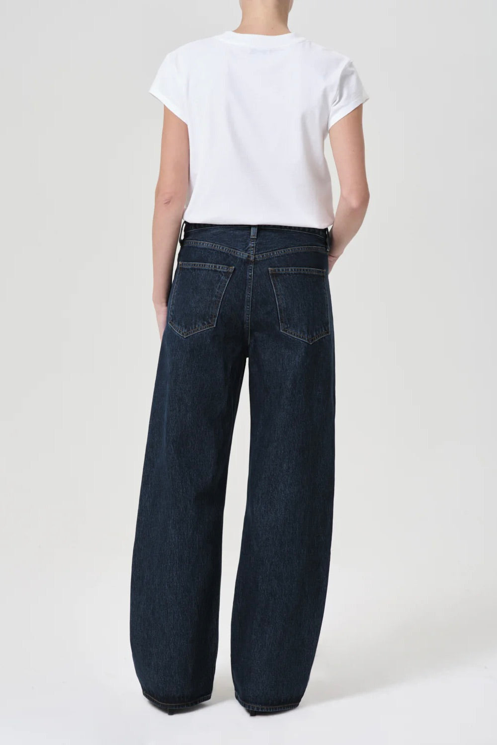 Agolde Low Curve Jean / Pendulum