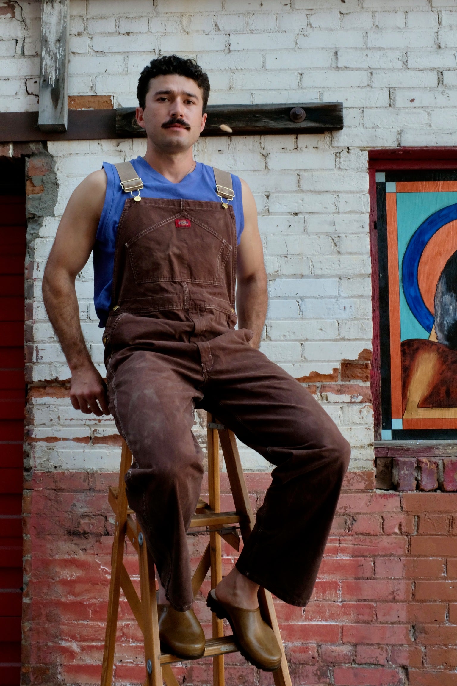 Riverside Tool & Dye Overalls / Chocolate