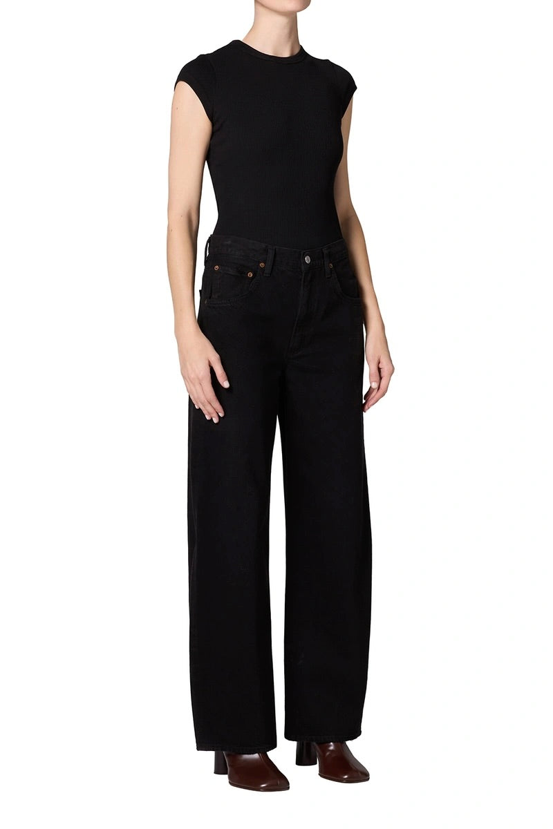 Agolde Low Curve Jean / Proof