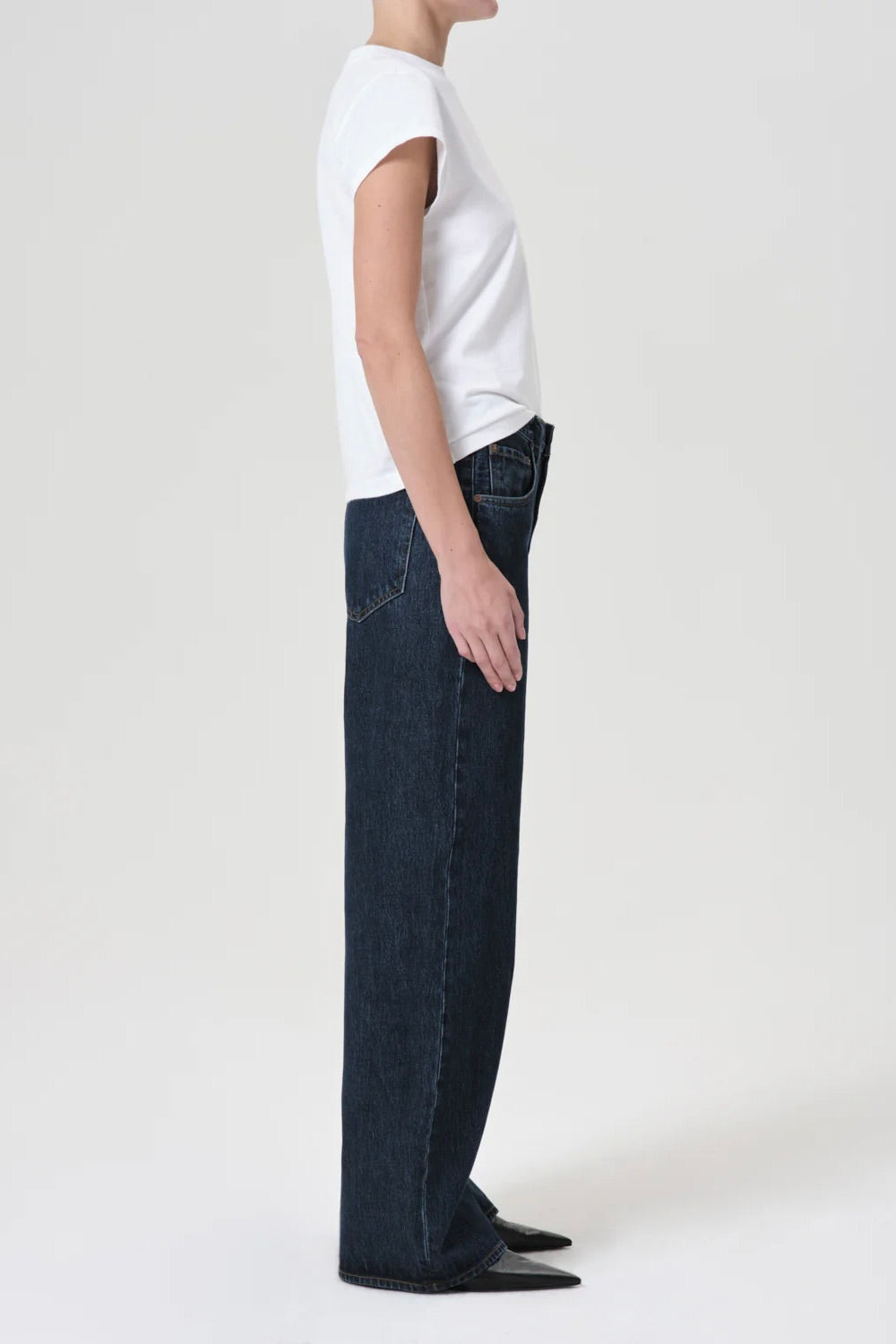 Agolde Low Curve Jean / Pendulum