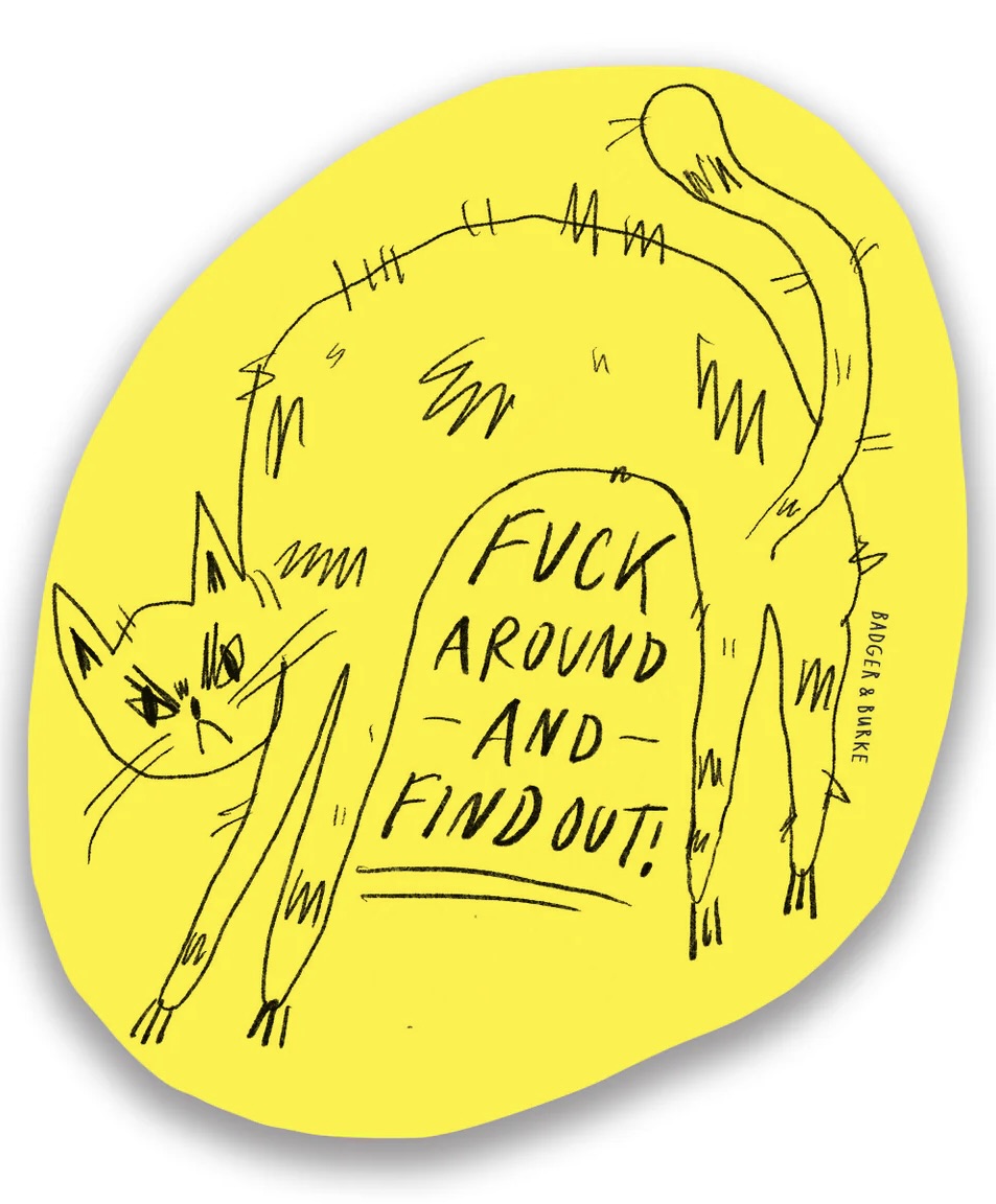 Badger & Burke Stickers / F*ck Around