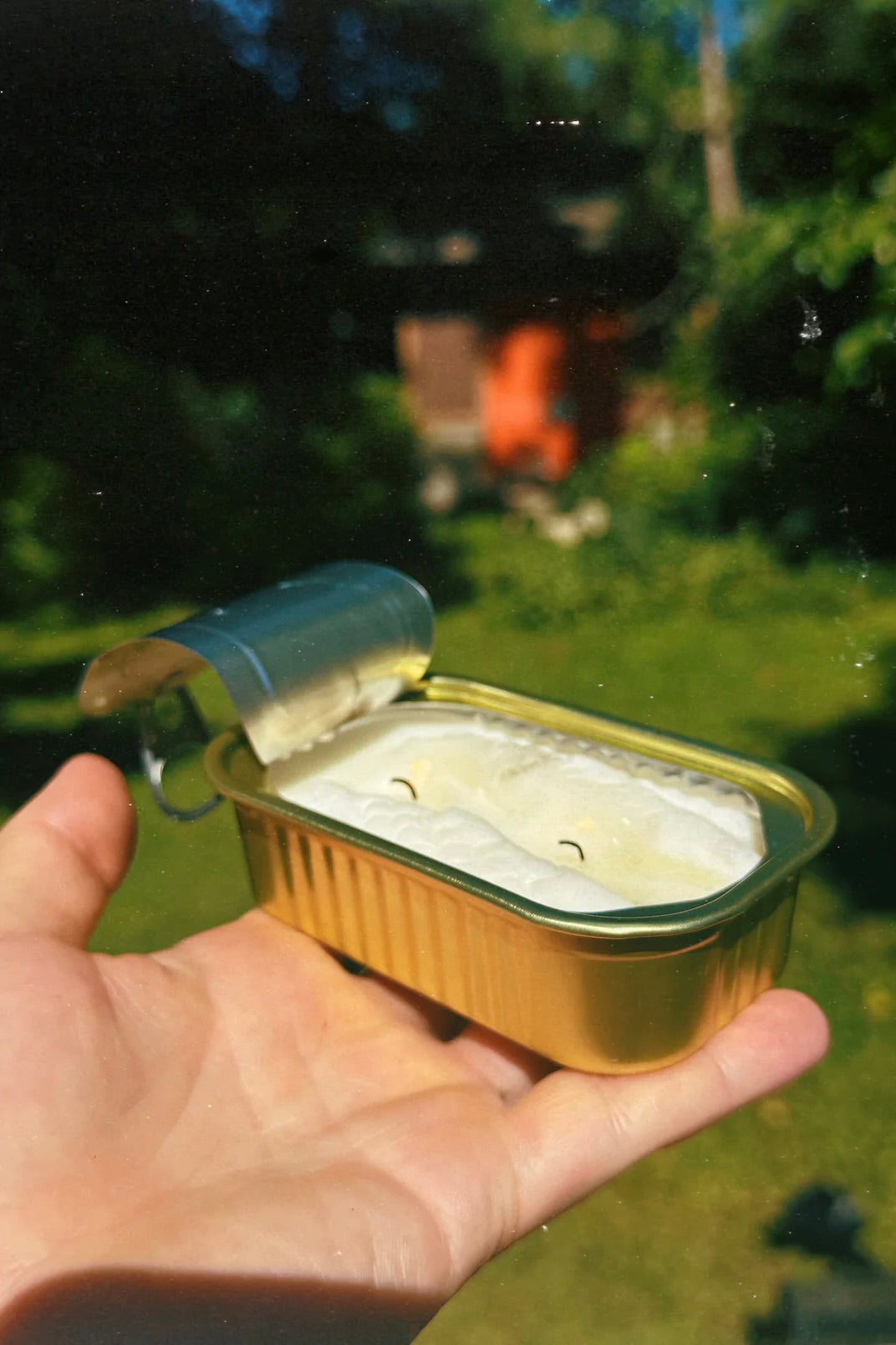 Tinned Fish Candle / Citronella