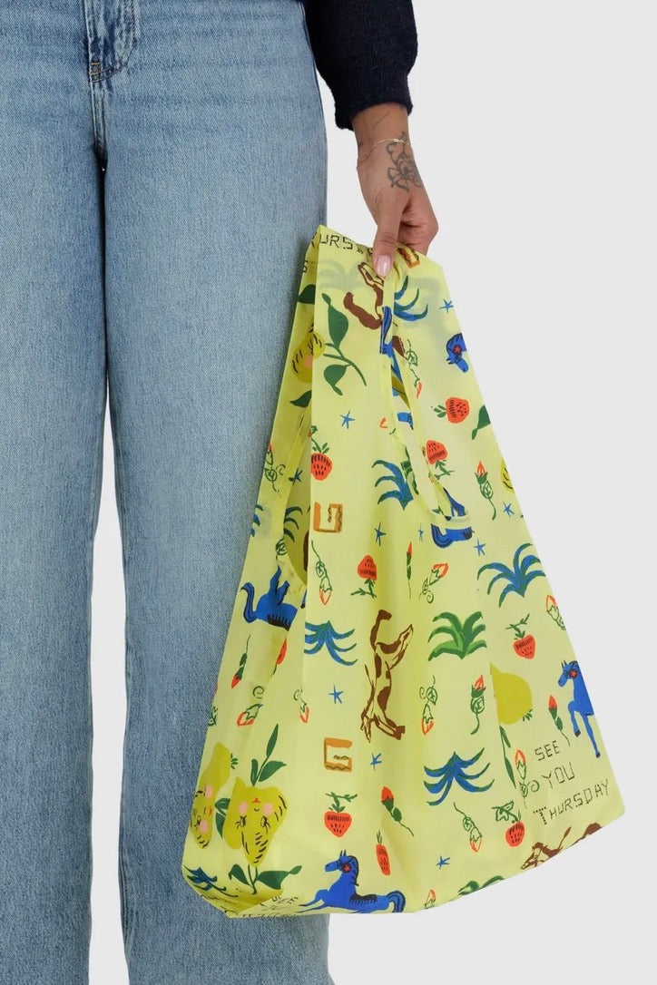 Standard Baggu / Painted Prairie