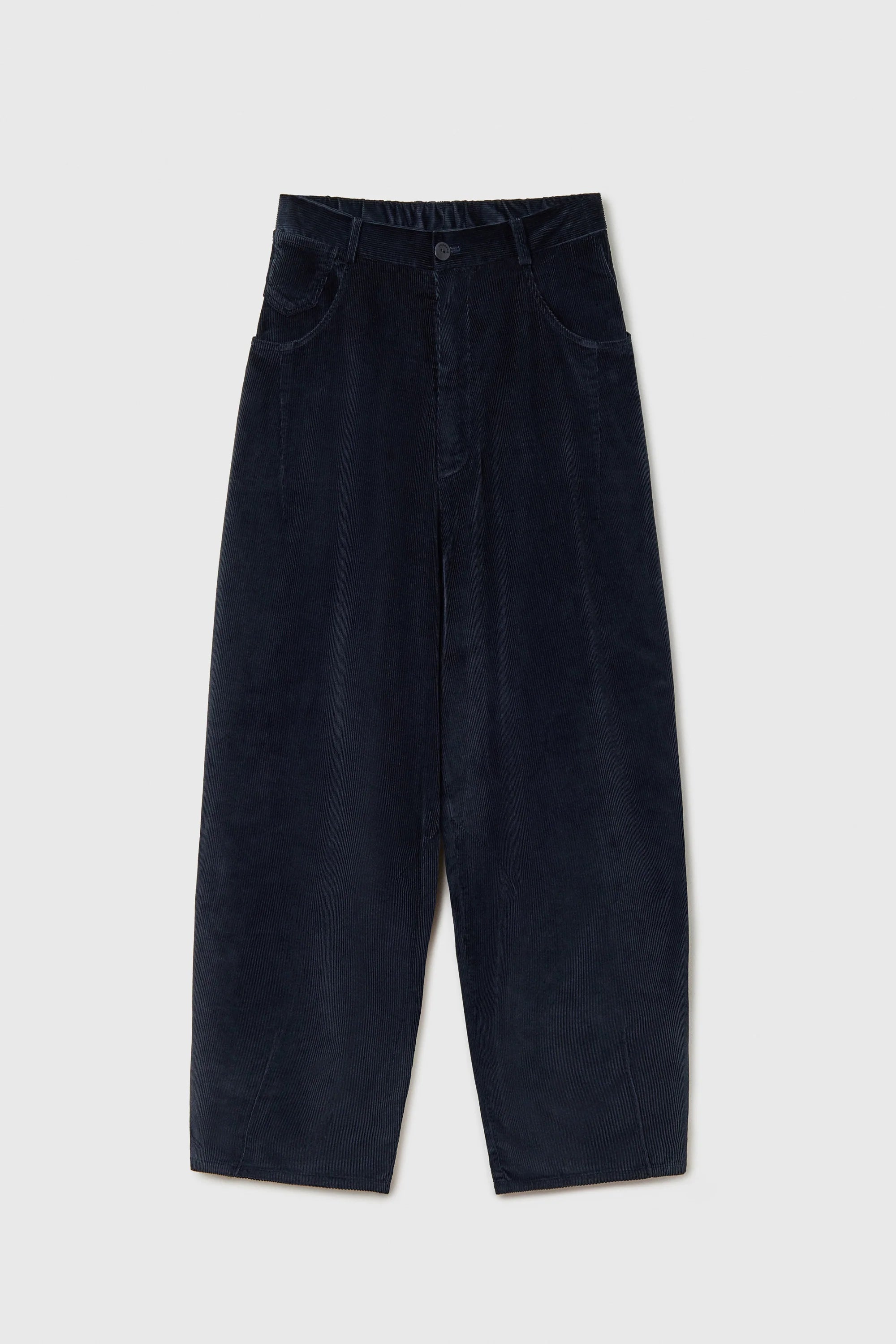 Cordera Corduroy Baggy Pants / Navy