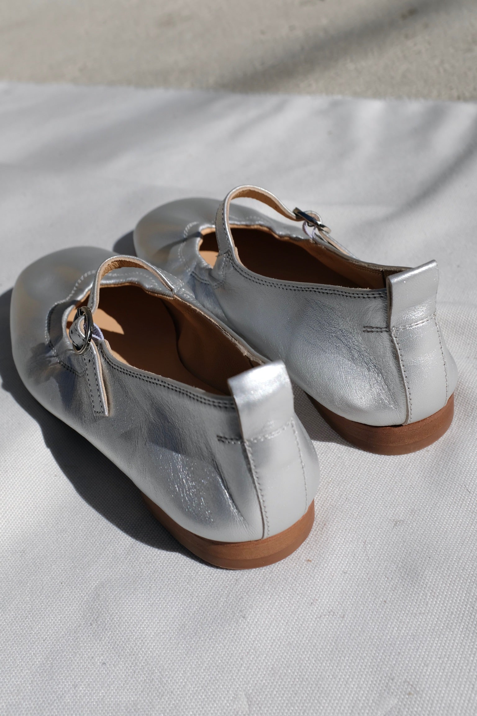 Either/Or Mary Jane Flat / Silver