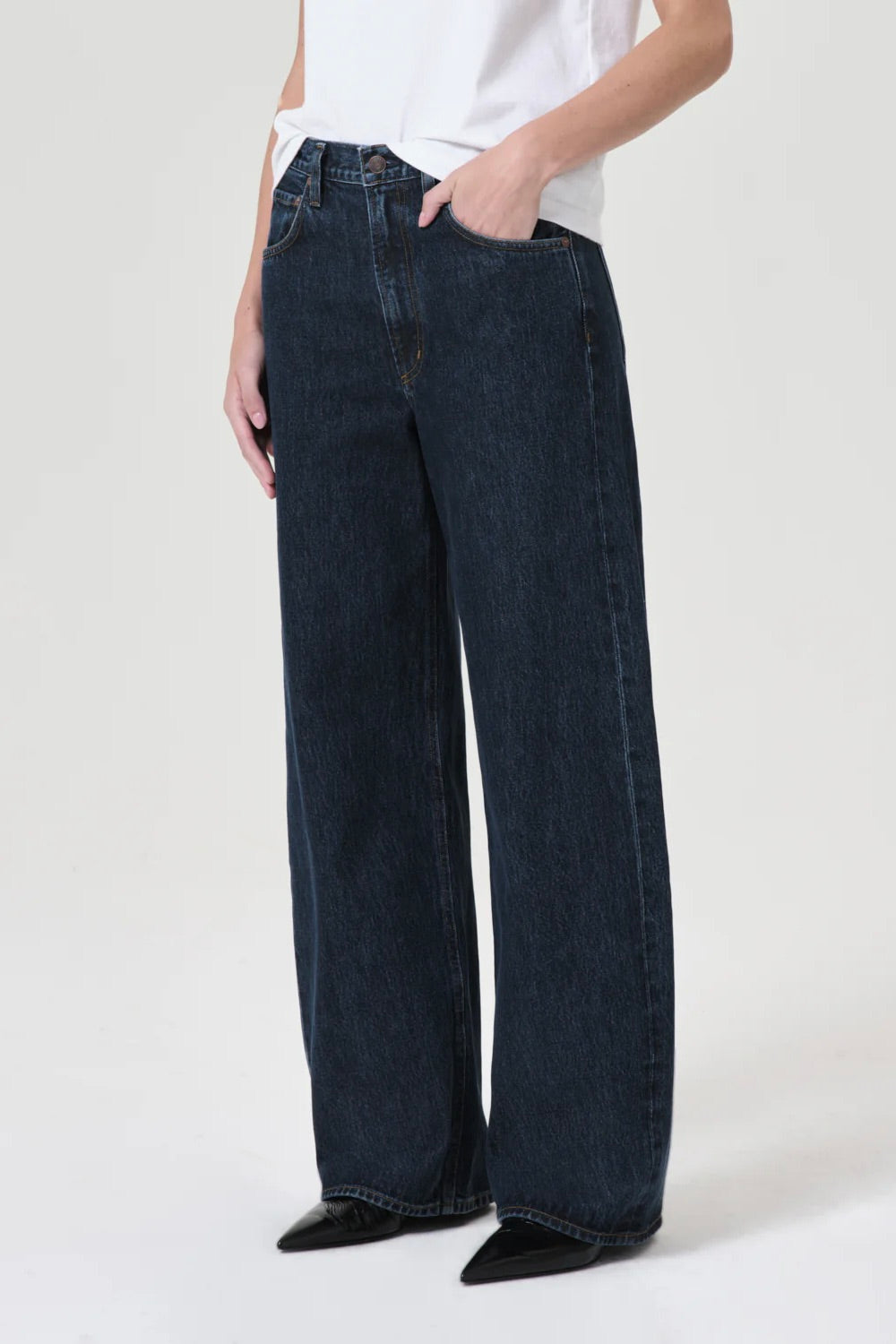 Agolde Low Curve Jean / Pendulum