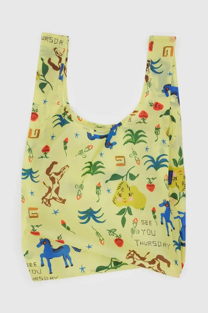 Standard Baggu / Painted Prairie