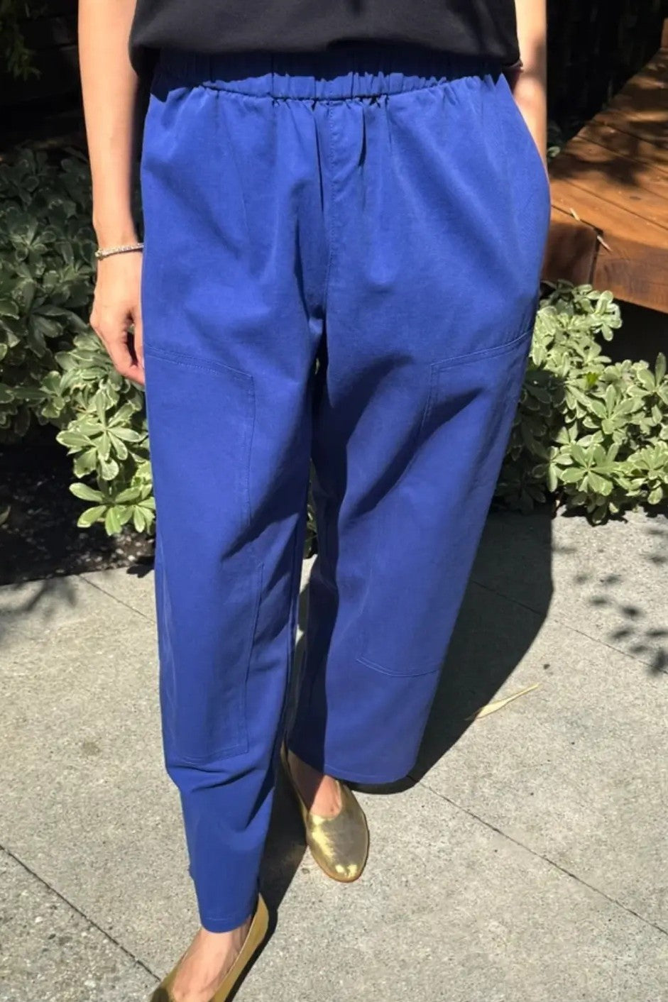 Le Bon Shoppe Gardener's Pants / Deep Blue