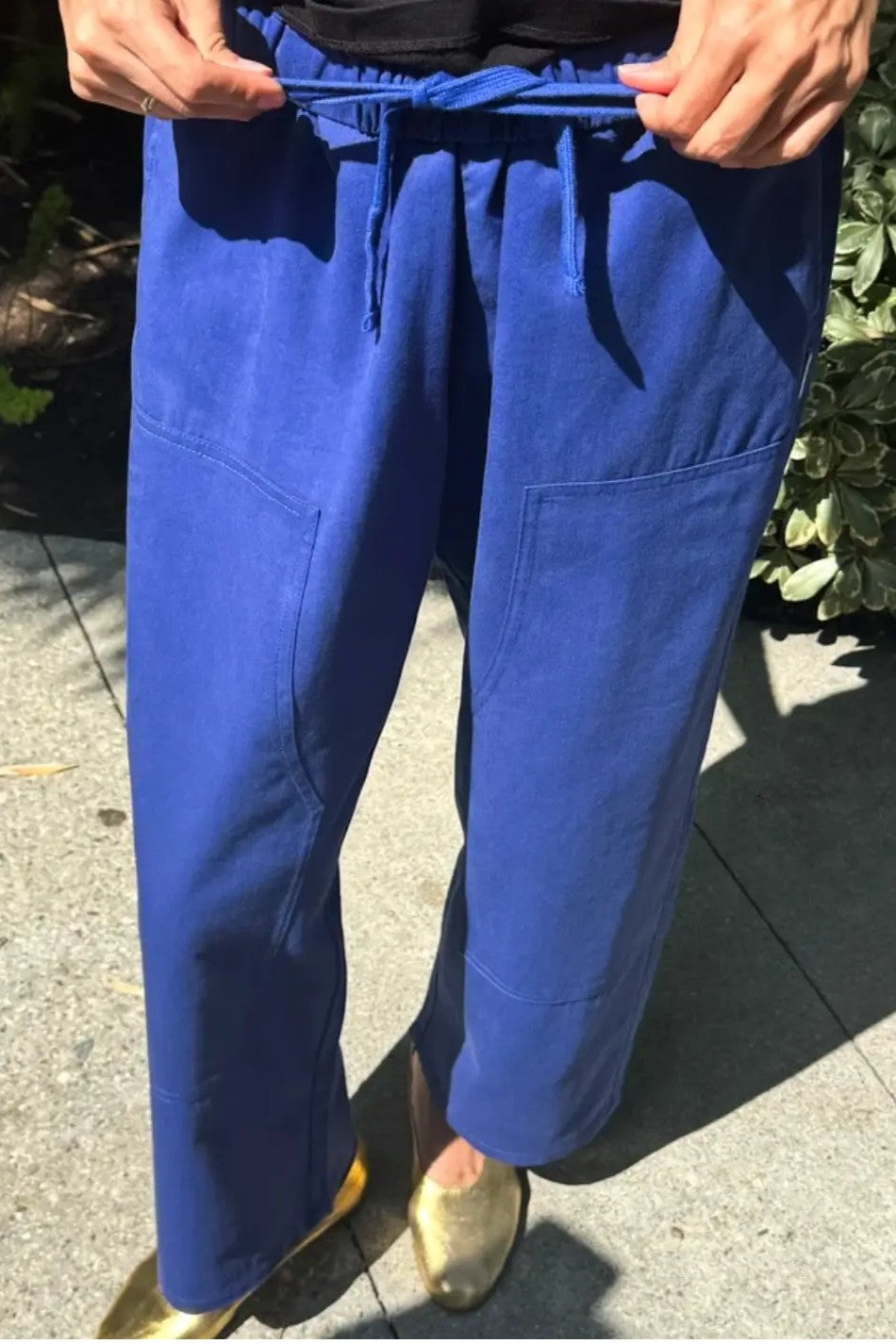 Le Bon Shoppe Gardener's Pants / Deep Blue