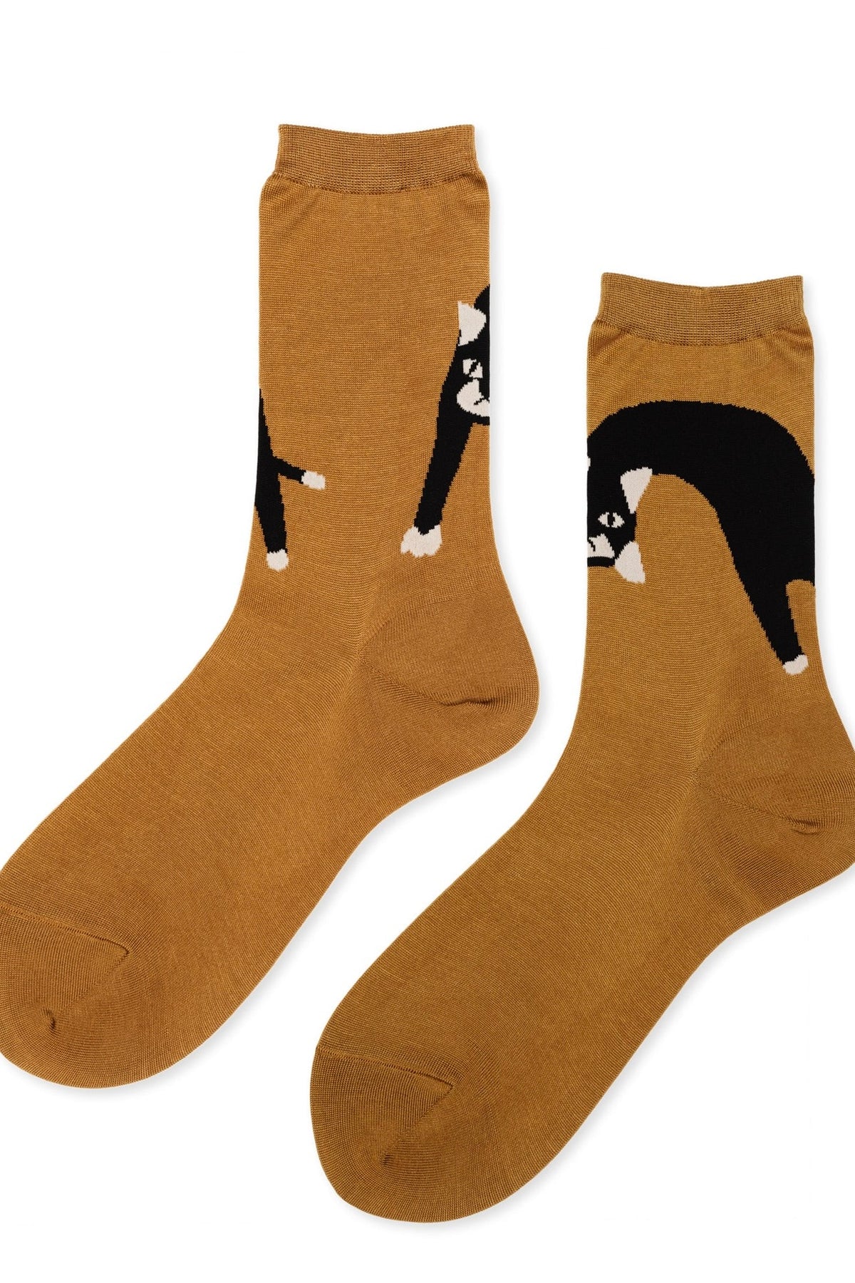 Pounce Crew / Camel