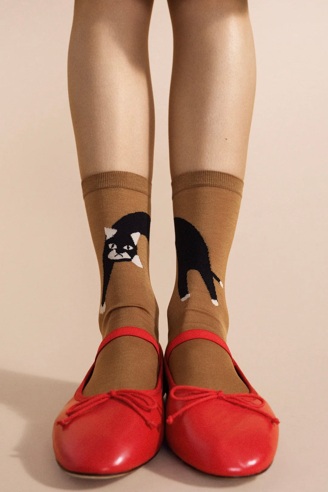 Pounce Crew / Camel