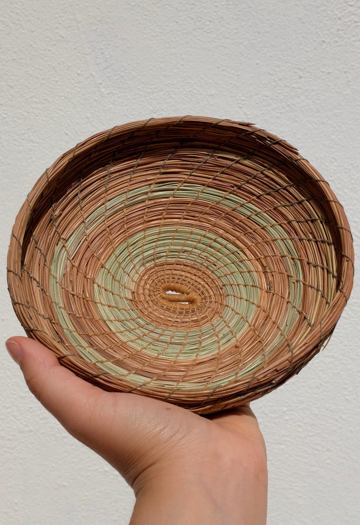 Borrowed Basketry Pine Needle Basket / Medium Bowl