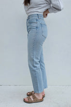 Agolde 90s Mid Rise Loose Fit / Semi Tropic